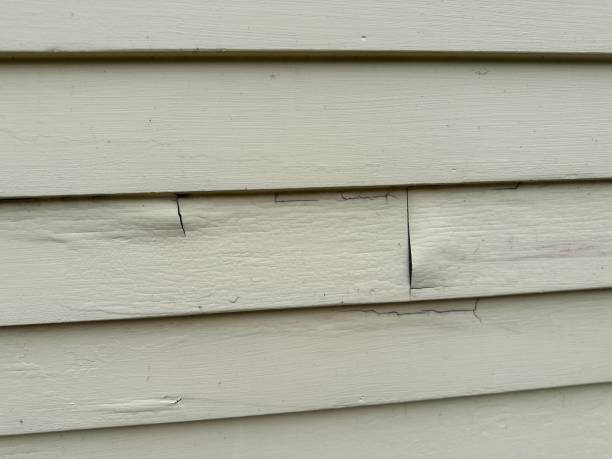 Trusted Meeker, CO Siding Experts